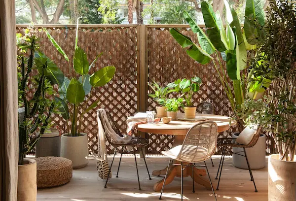 Terraza acogedora con comedor al aire libre, rodeada de plantas y decorada con muebles de madera y ratán.