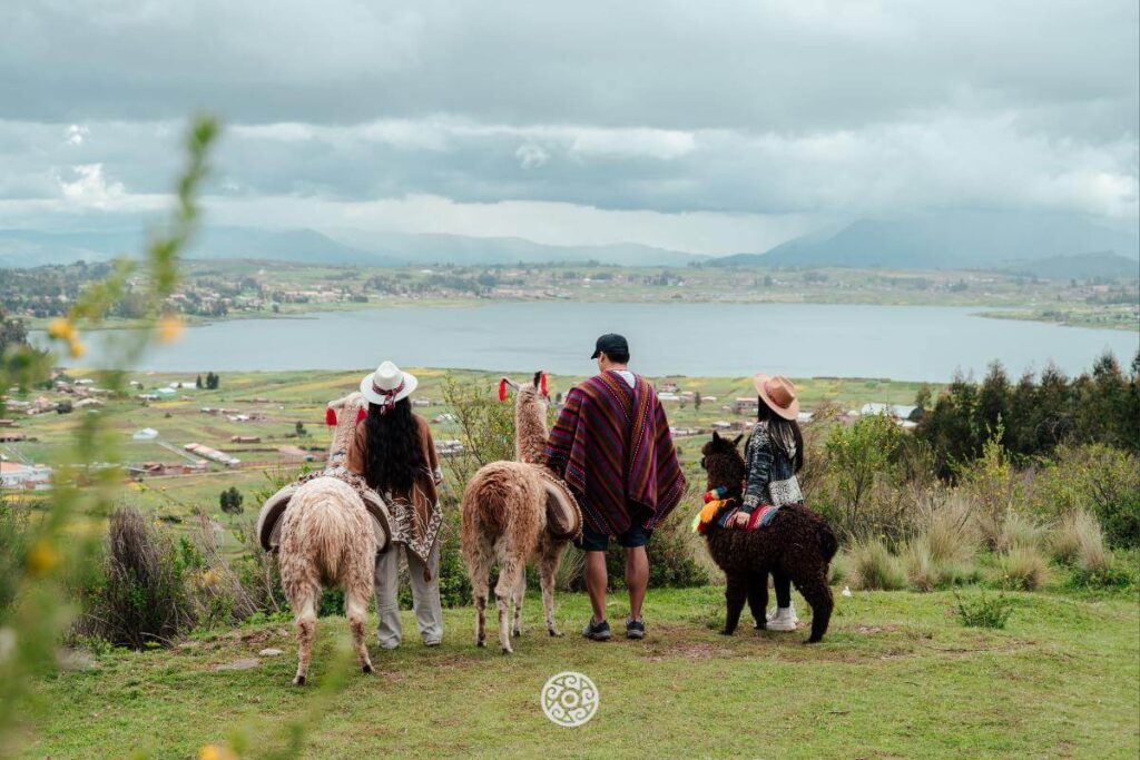 Alpacaterapia