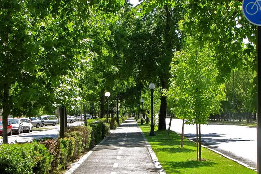 Ciclovia en medio de arboles muy verdes por la llegada de la primavera en Chile