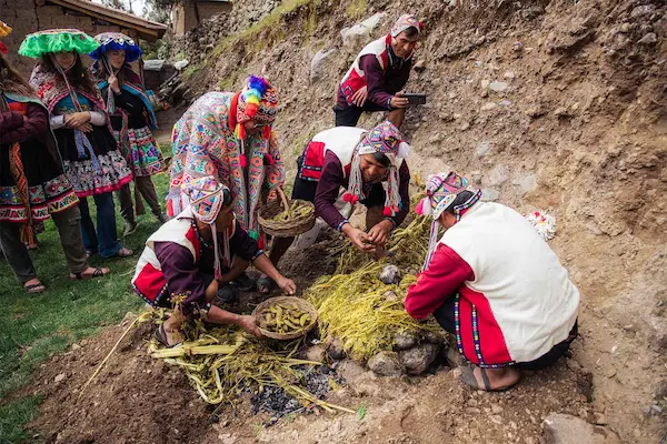 Sabores que conectan con la tierra