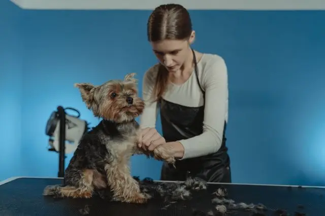 mujer en peluqueria con mascota