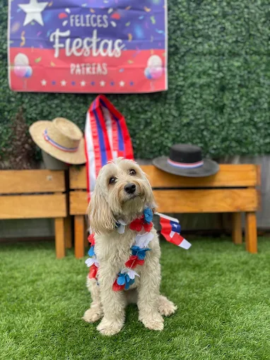La Guardería de Bruno