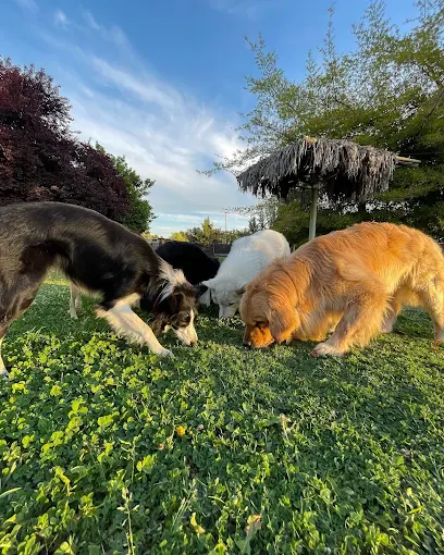 La Quinta Hotel Canino
