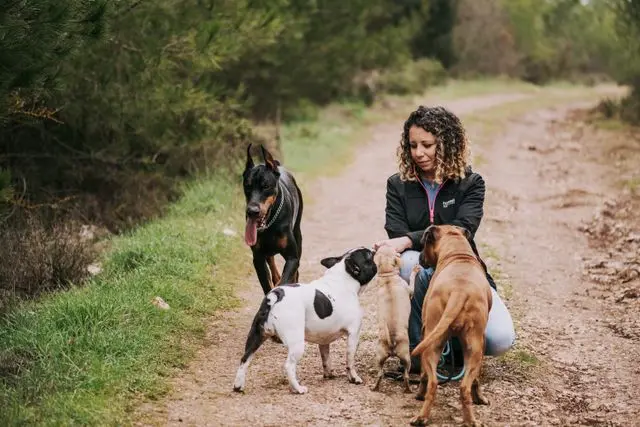 tres perros al aire libre con una mujer